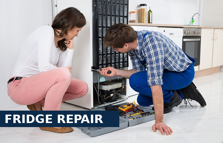 Fridge Repair Holborn